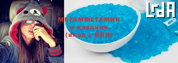 шишки Няндома