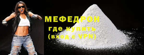 шишки Няндома