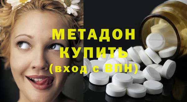 шишки Няндома