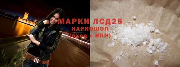 шишки Няндома