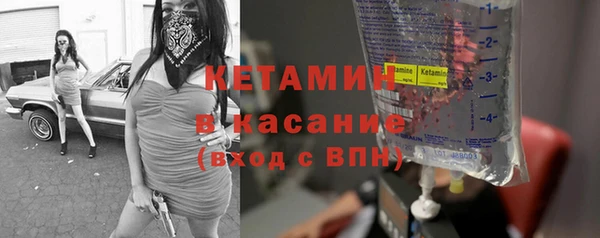 шишки Няндома