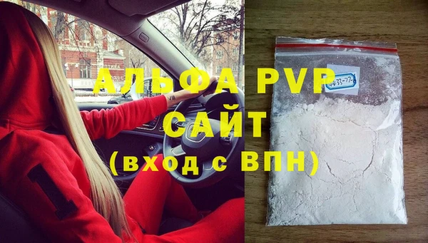 шишки Няндома