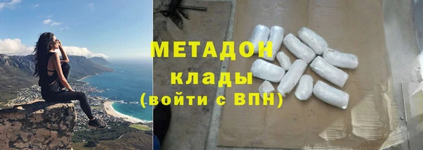 шишки Няндома