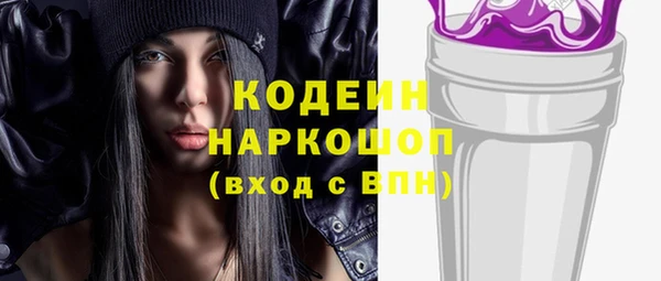 шишки Няндома