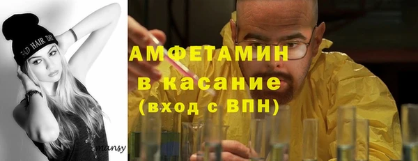 шишки Няндома