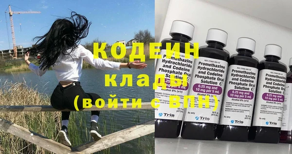 шишки Няндома