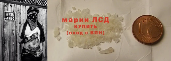 шишки Няндома