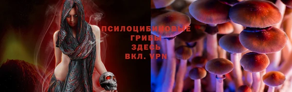 mdma Нязепетровск