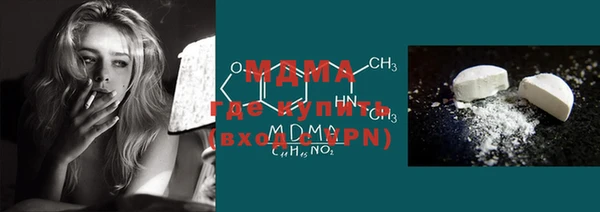 шишки Няндома