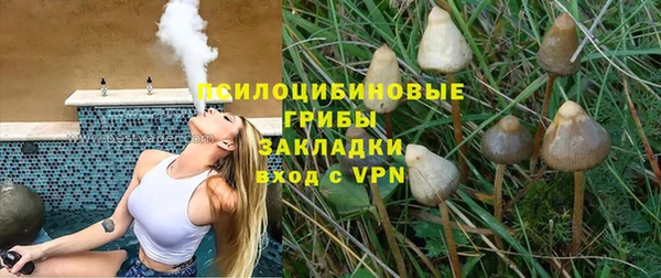 твердый Домодедово