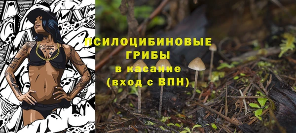 шишки Няндома
