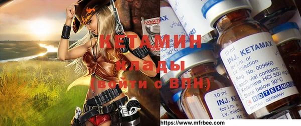 шишки Няндома
