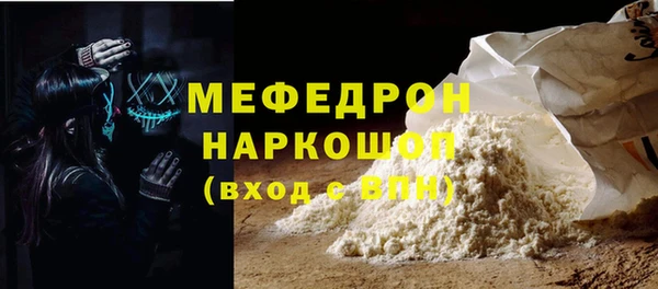 шишки Няндома