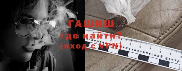 шишки Няндома