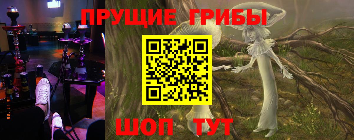 Галлюциногенные грибы ЛСД  купить   Верхняя Салда  Вход с VPN 