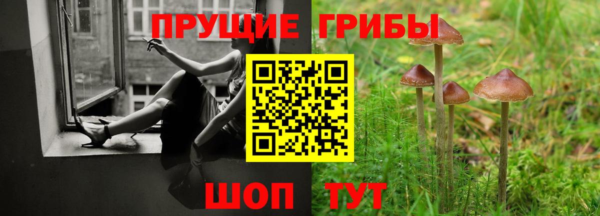 Псилоцибиновые грибы прущие грибы Верхняя Салда